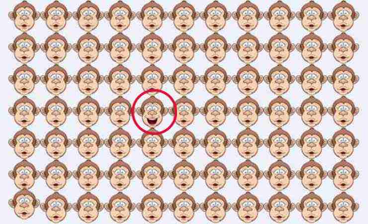 Test scimmia invisibile
