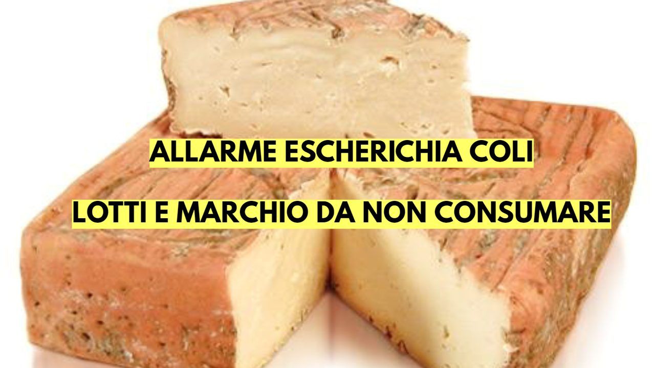 Formaggio contaminazione