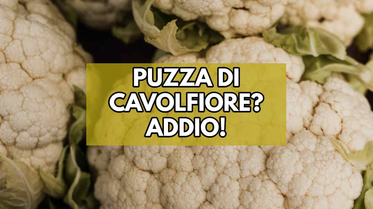 cavolfiore