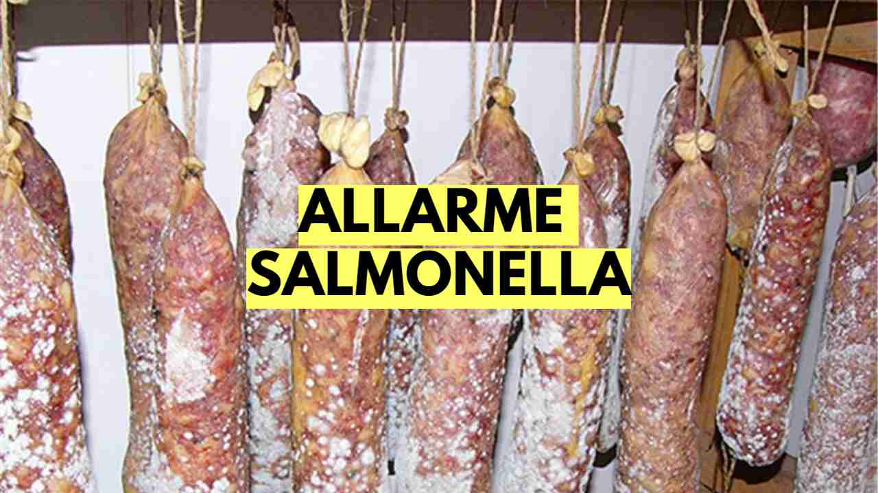 Salsiccia stagionata ritirata per salmonella FFwebmagazine 02_11_22