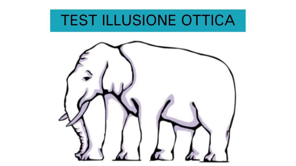 Test Illusione Ottica Quante zampe ha l'elefante? Non farti ingannare pensa prima di rispondere Test Illusione Ottica Quante zampe ha l'elefante? Non farti ingannare pensa prima di rispondere