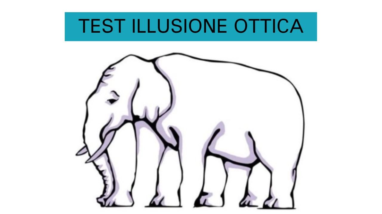 Test Illusione Ottica elefante FFwebmgazine