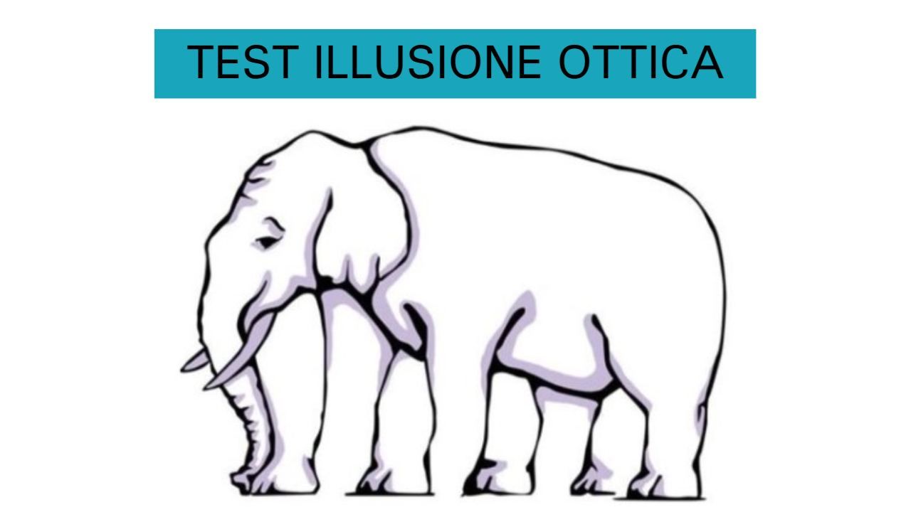 Test Illusione Ottica elefante FFwebmgazine 