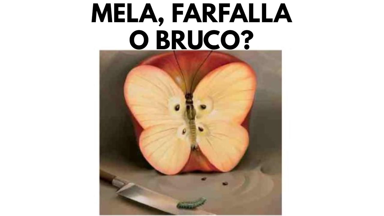 Test personalità mela farfalla bruco