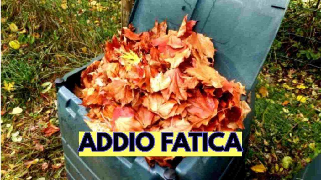 Foglie secche | Vietato buttarle: addio fatica, riutilizzale così
