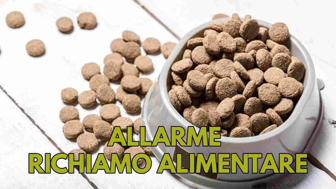 Allarme alimenti cani ritirati