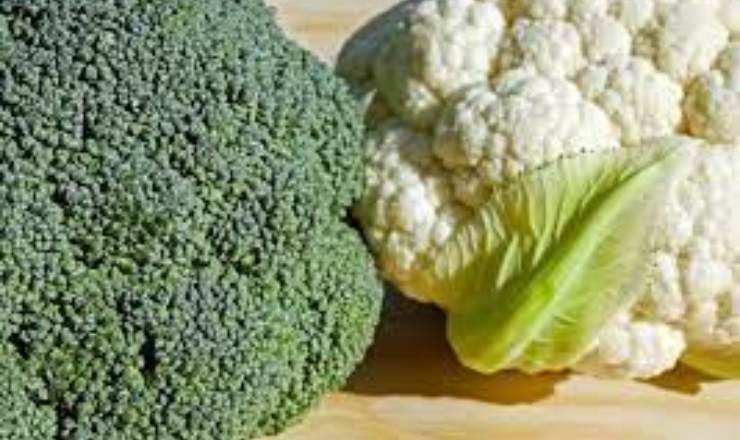 Cavoli e broccoli