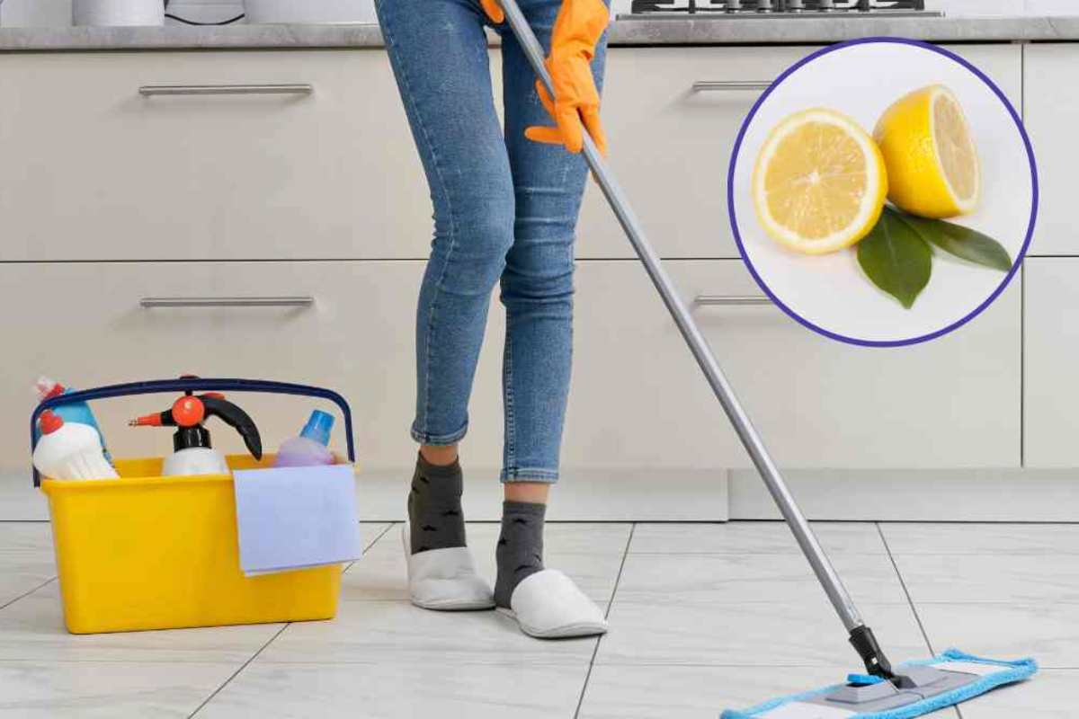Limone pulizie domestiche