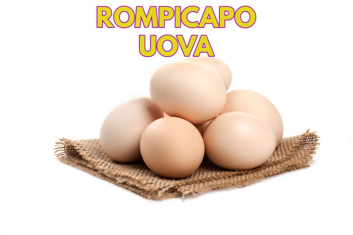 Rompicapo uova 