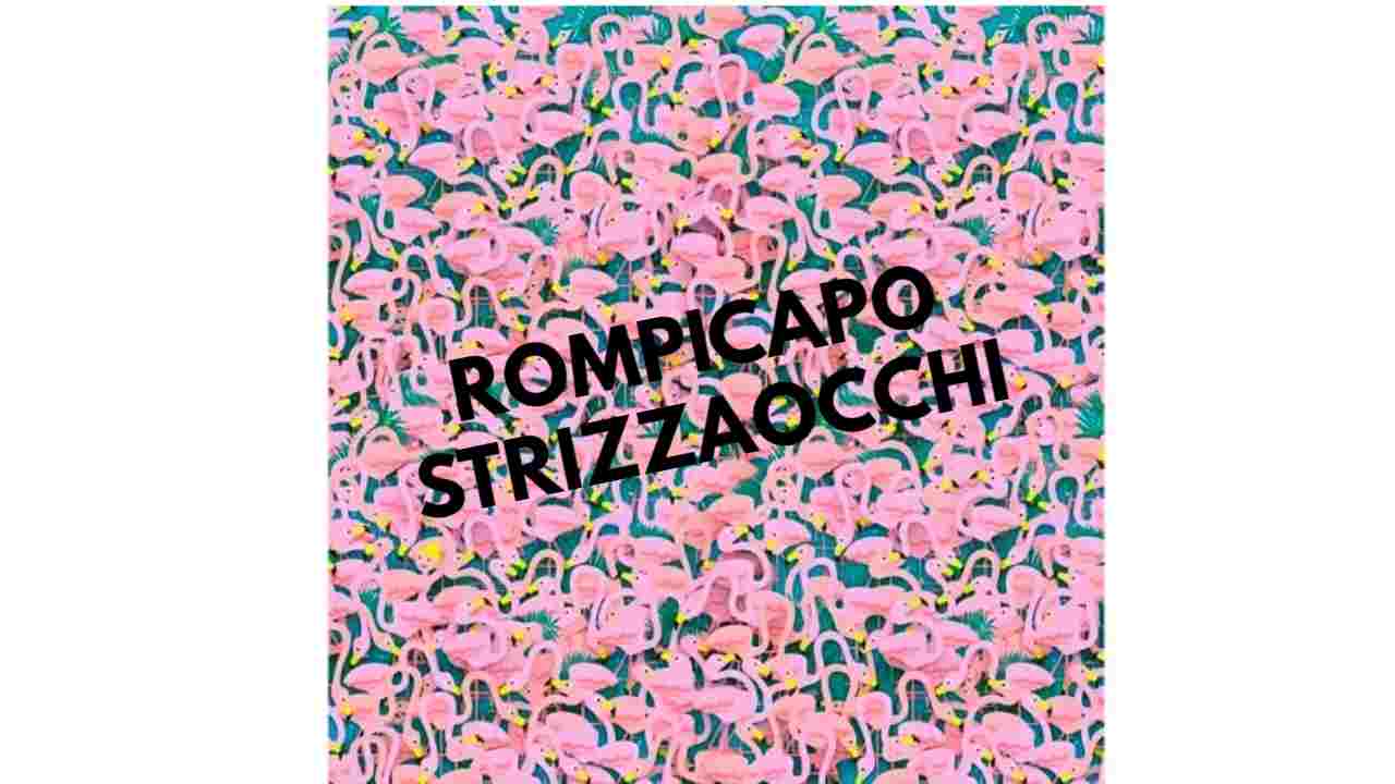 Rompicapo strizzaocchi