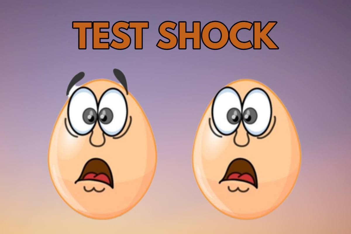 Test_Shock