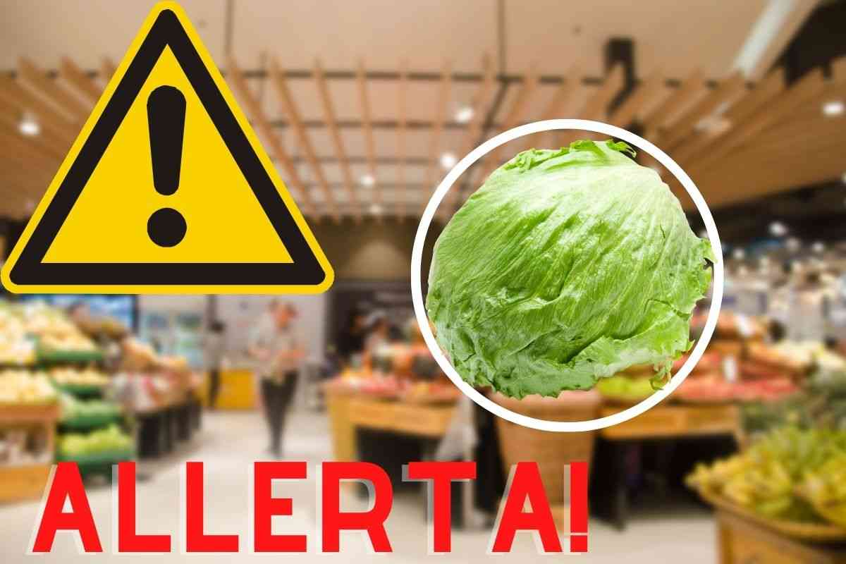 allerta alimentare per l'insalata