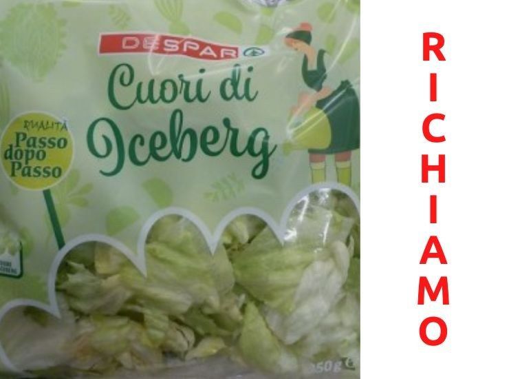 richiamo per insalata Cuori di Iceberg Despar