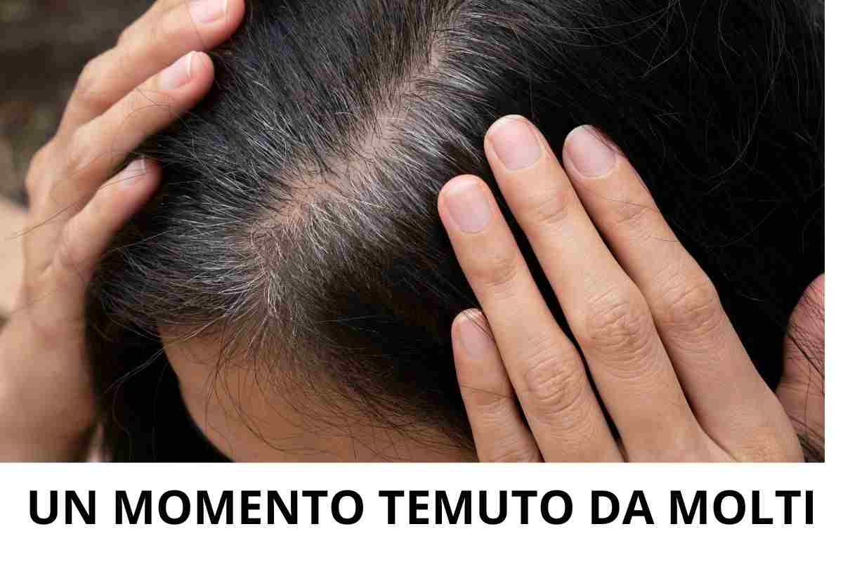 capelli bianchi comparsa