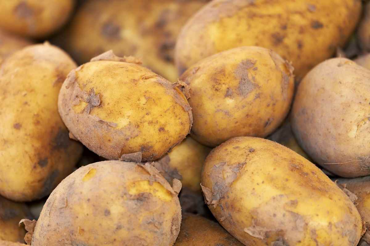 Patate pronte in 10 minuti