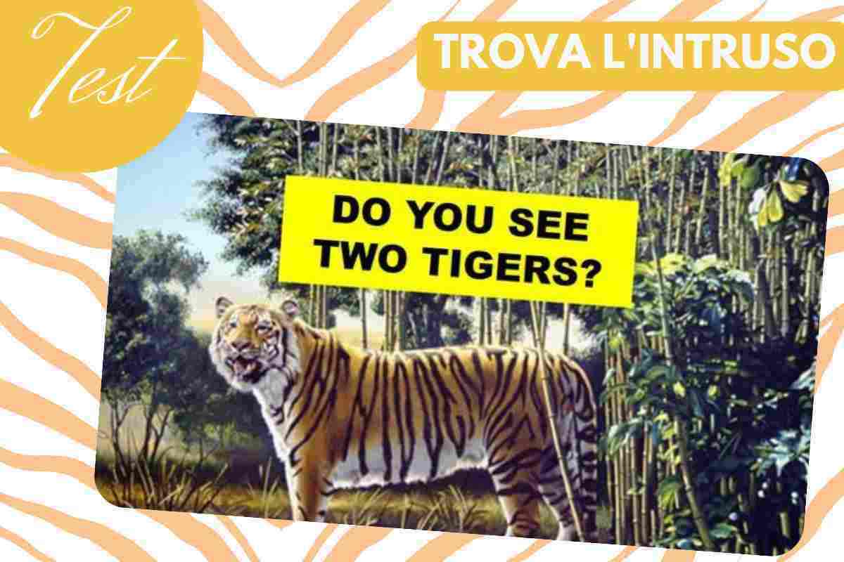 Test trova due tigri