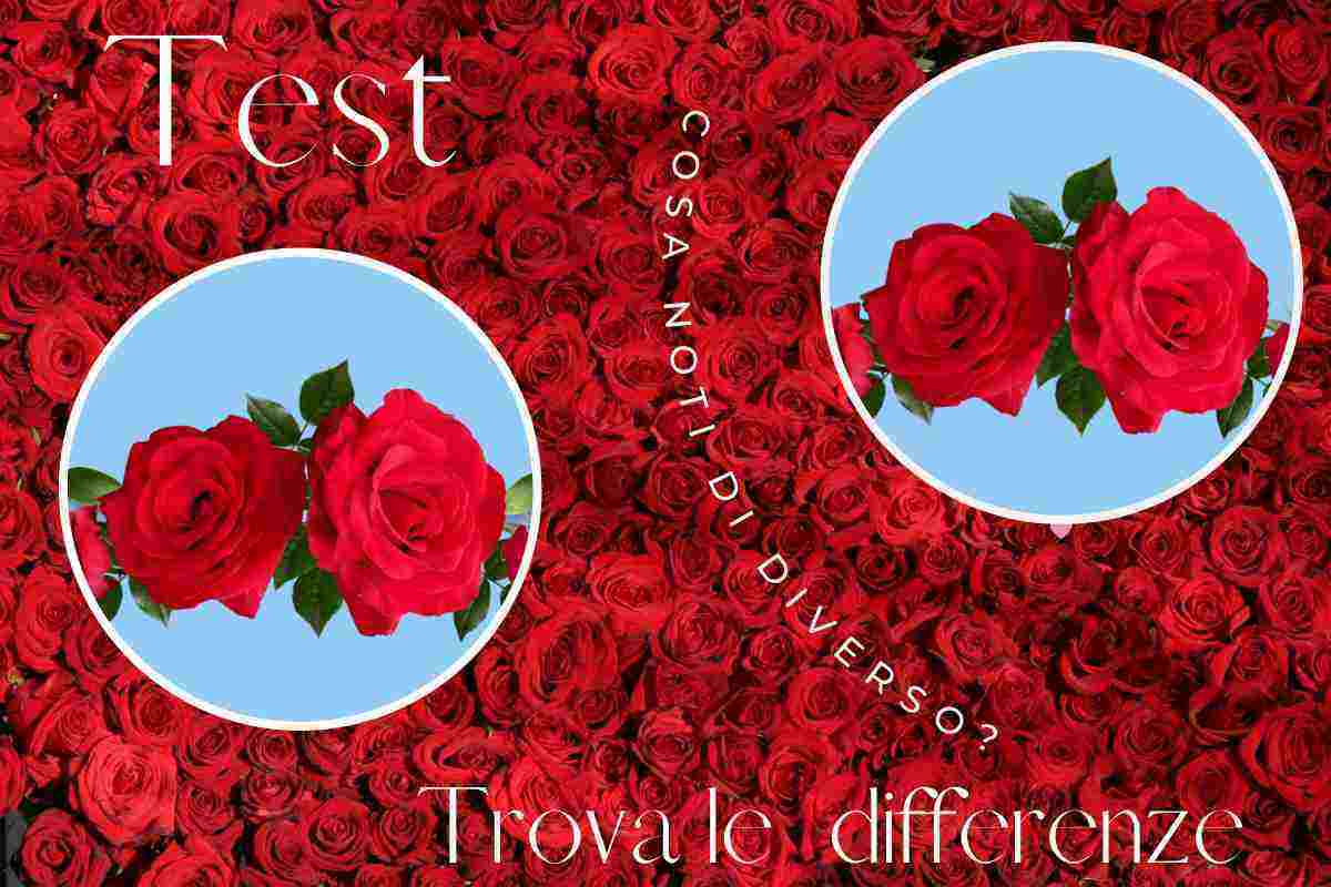 test visivo rose differenze