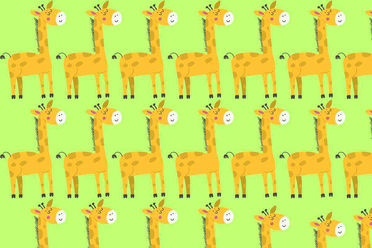 rompicapo visivo giraffe