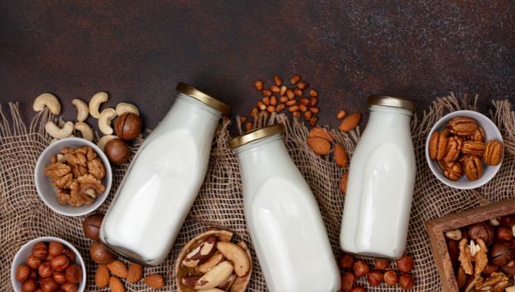 Latte vegetale ecco cosa devi sapere