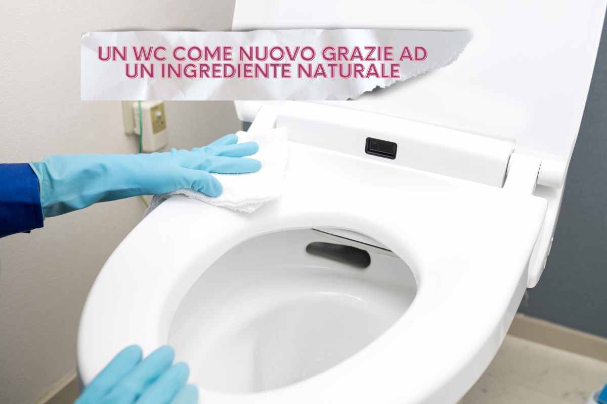 Un Wc come nuovo senza detersivi: ecco come