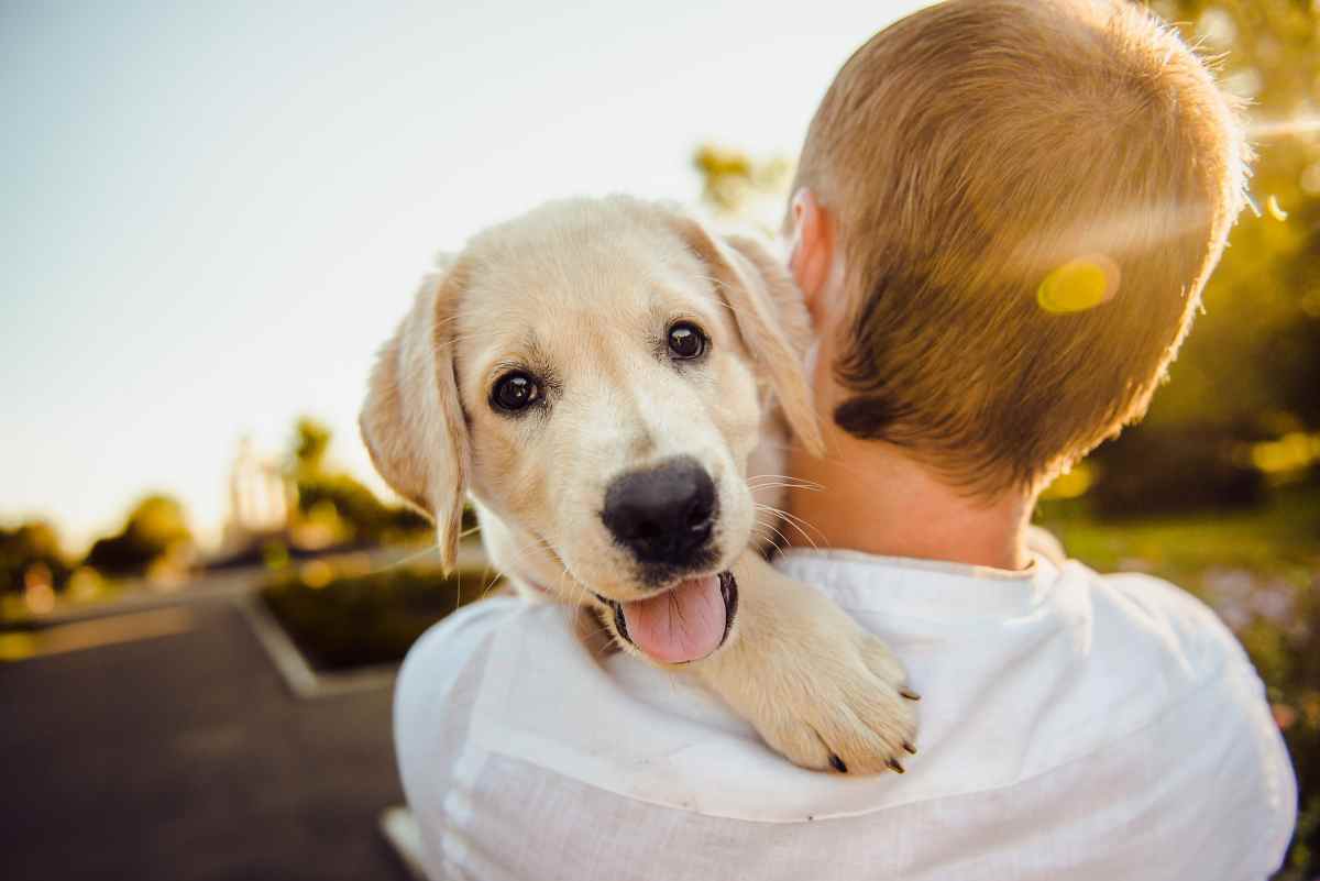 Cane: tutti i gesti con cui comunica affetto