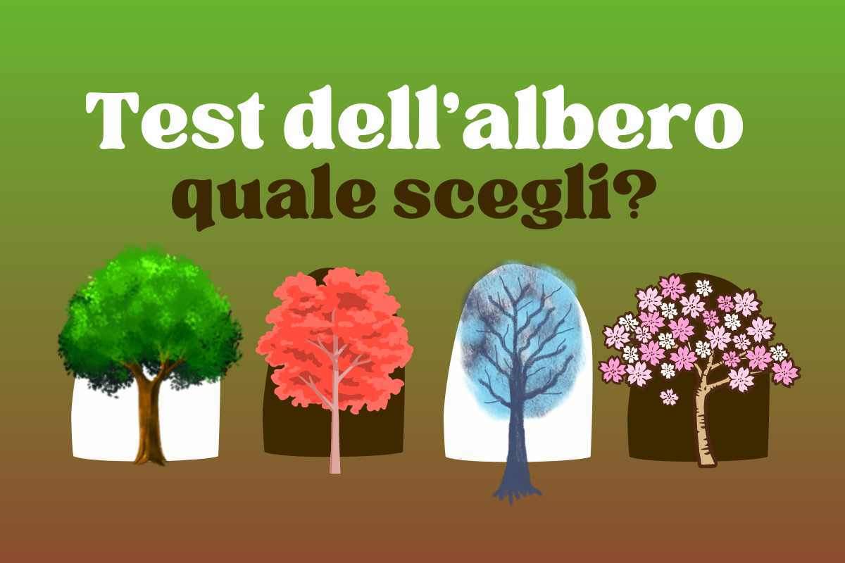 test personalità albero