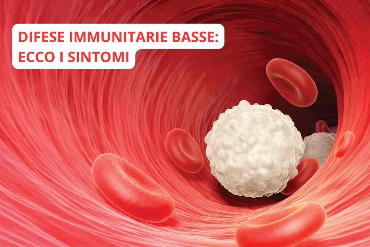 difese immunitarie basse
