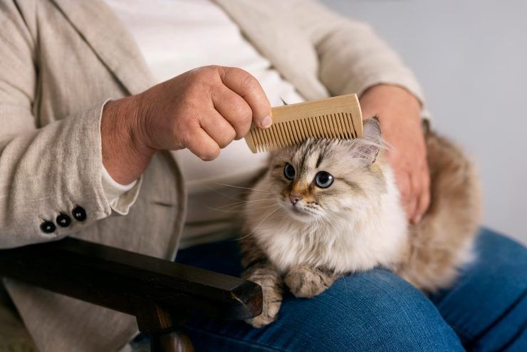 pulci nel gatto come controllarlo