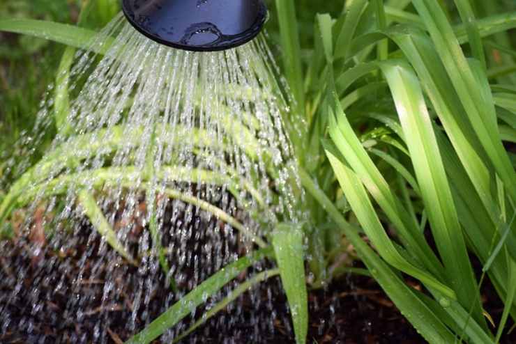 Come impiegare l'acqua di condensa?